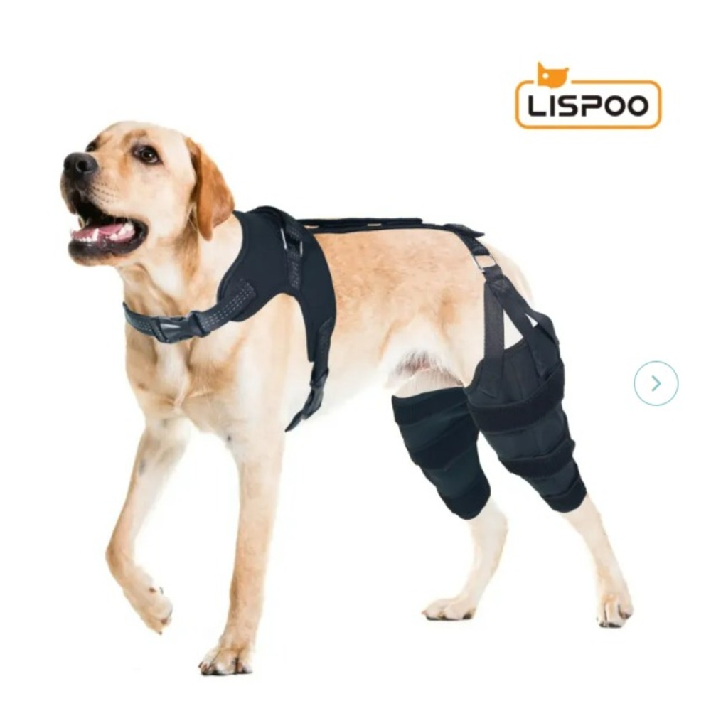 Black Dog Support Harness
